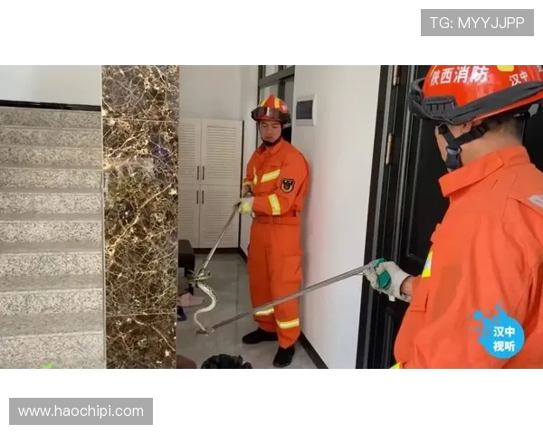 开云真人在线安全保障措施，保障玩家个人信息与资金安全