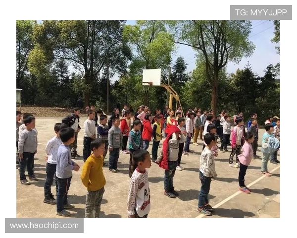 稳妥访问开云官网官方网官方网址，了解最新官方入口及安全措施