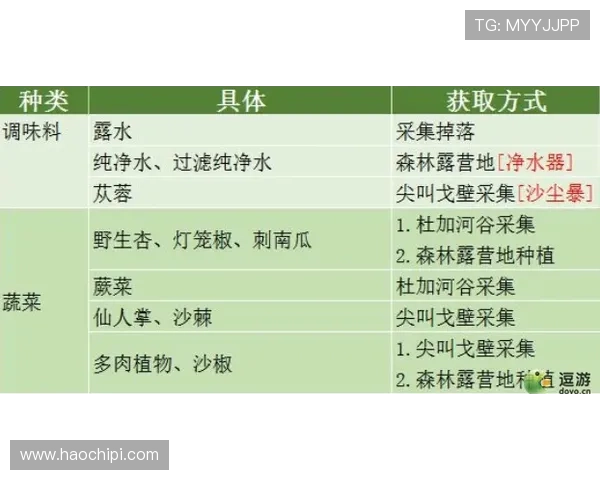 KY体育中国官方平台的用户评价与口碑分析，了解真实用户的使用体验与建议